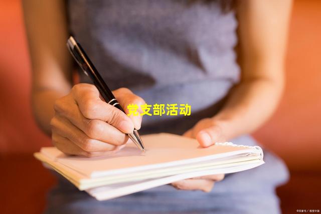 党支部活动